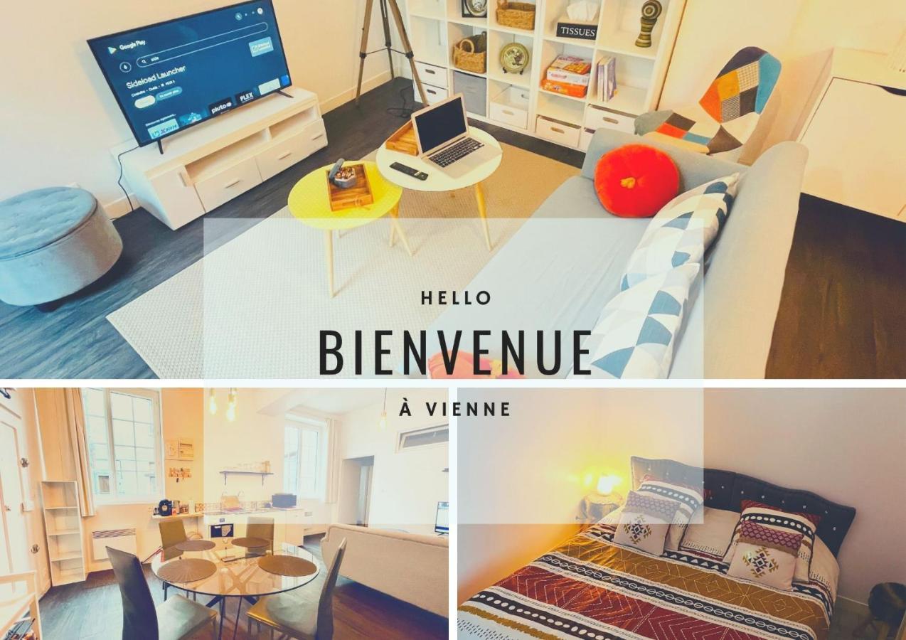 L'Appartement Du Temple A Vienne ภายนอก รูปภาพ